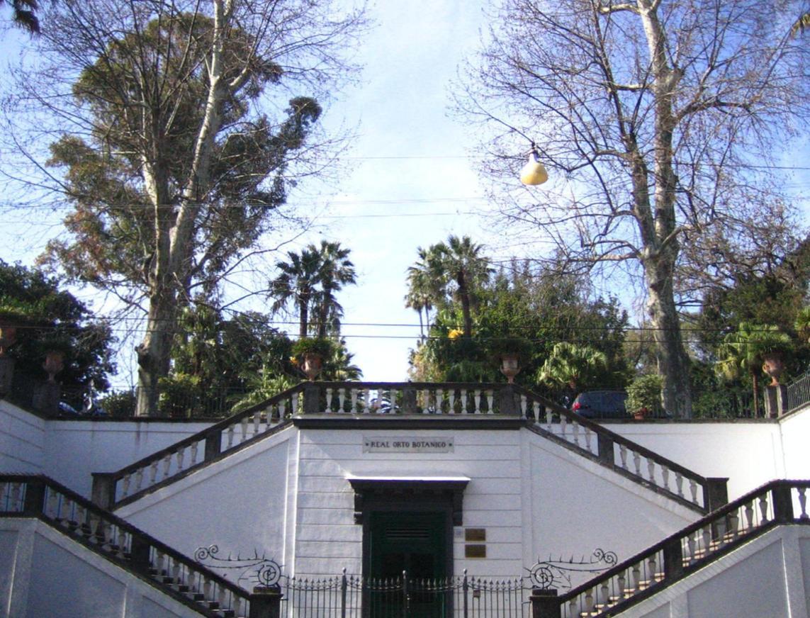 Appartement Ira House à Naples Extérieur photo